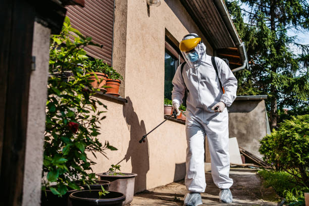 Best Residential Pest Control  in Lafayette, CO