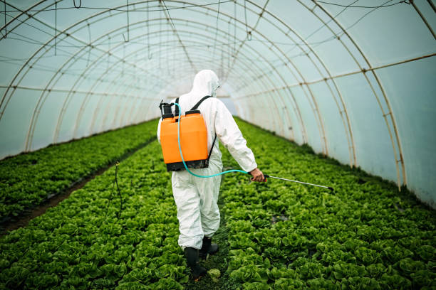 Best Best Pest Control Companies  in Lafayette, CO