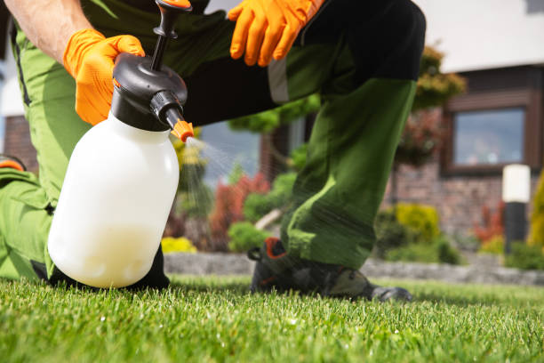 Professional Pest Control in Lafayette, CO