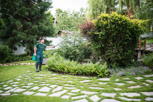 Best Local Pest Control Services  in Lafayette, CO