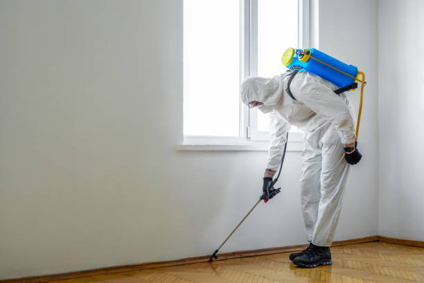 Best Pest Prevention Services  in Lafayette, CO