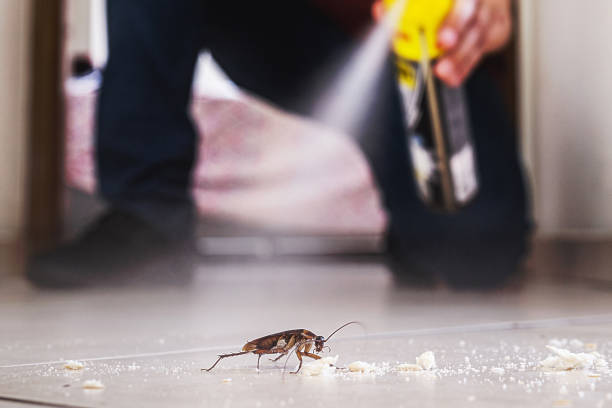 Trusted Lafayette, CO Pest Control Experts